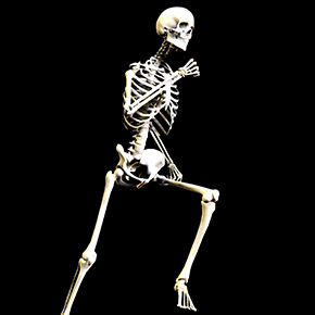 骨のはなし　その１２　「骨と運動　運動は骨にイイ！」